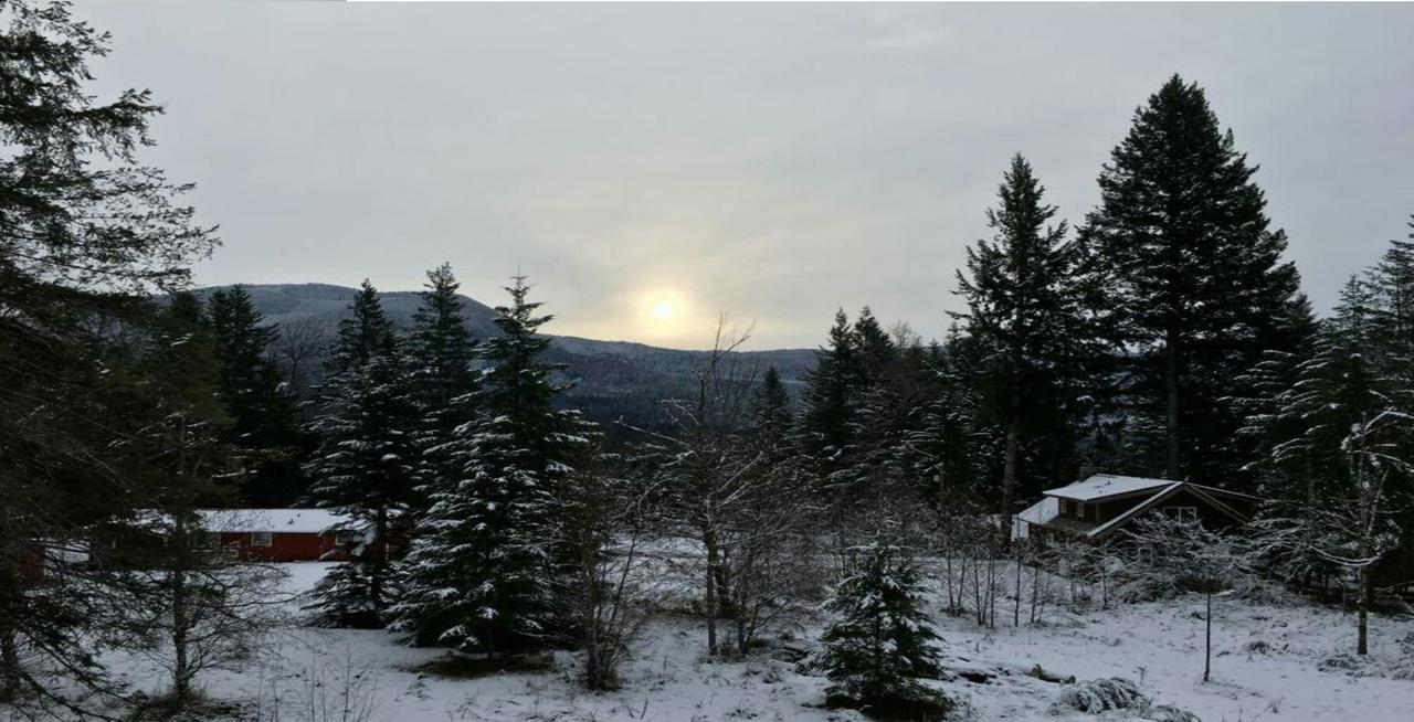 Packwood Ski & Vacation Getaway Esterno foto