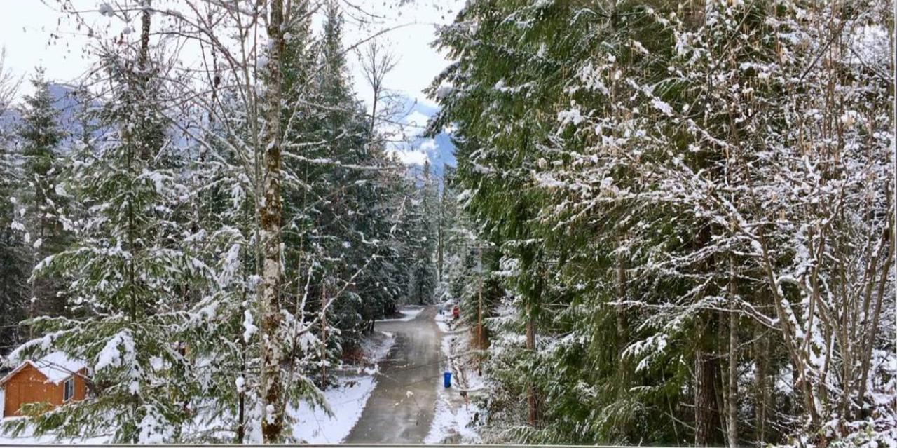 Packwood Ski & Vacation Getaway Esterno foto
